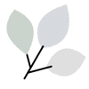 ngo